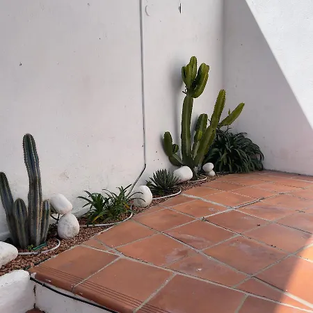 Terra Aloe Vendégház