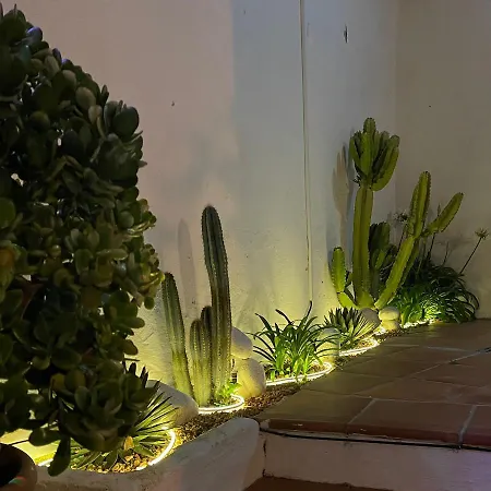 Terra Aloe Torremolinos