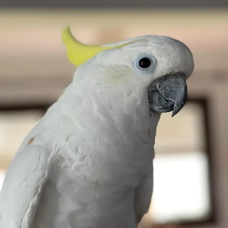 Vendégház Terra Aloe