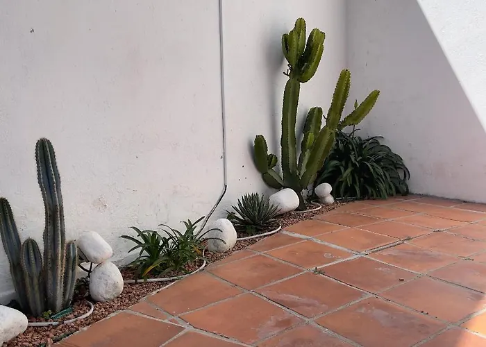 Terra Aloe Penzion