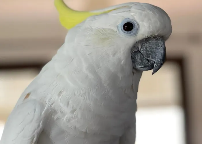 بيت ضيافة Terra Aloe